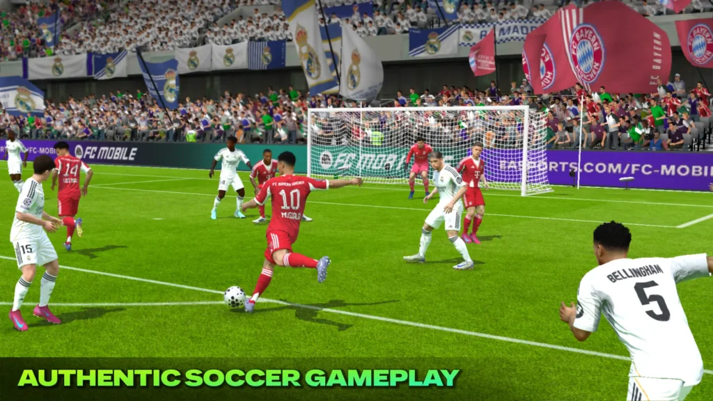 Gameplay Experience